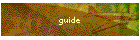 guide