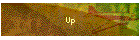Up